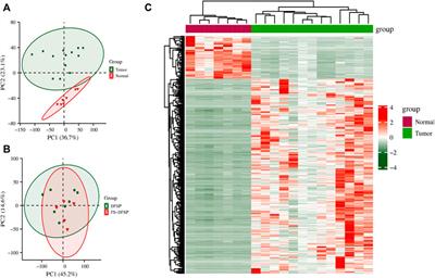 Frontiers Comprehensive Analysis Of Transcriptome Characteristics And